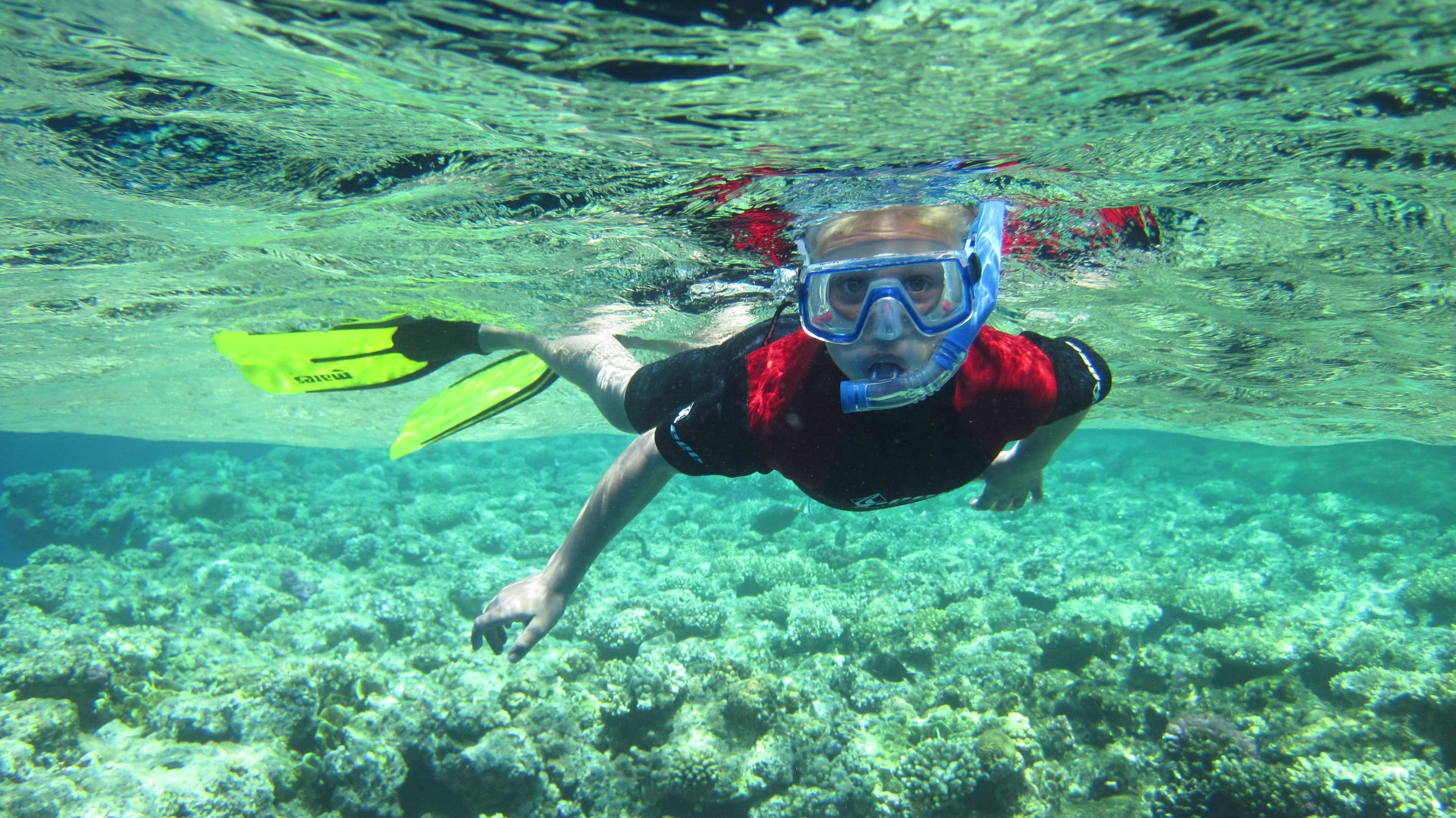 Snorkel guiado en la zona protegida de Benidorm
