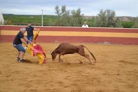 Barbacoa al aire libre